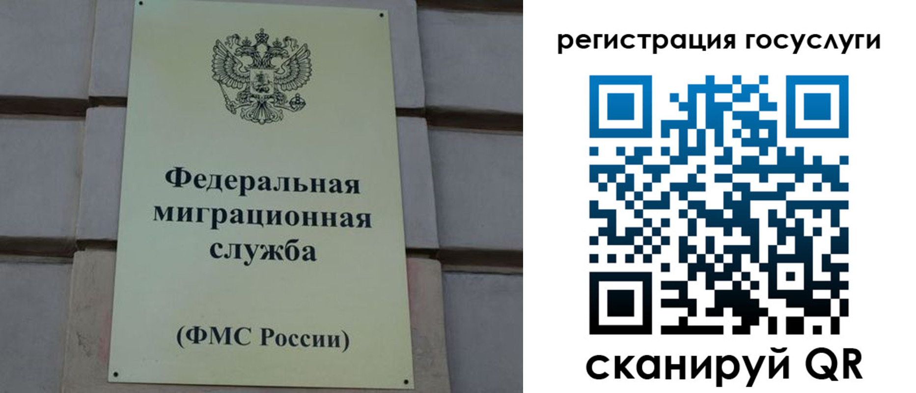 временная регистрация поиск в Калмыкии